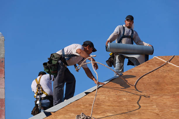 Best Roof Leak Repair  in Laurens, IA