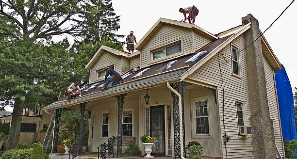 Best Local Roofing Companies  in Laurens, IA